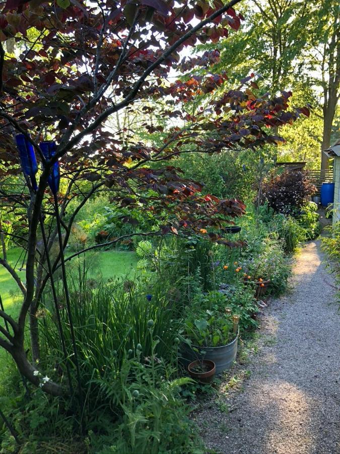 Bed and Breakfast Beemster Tiny House Zuidoostbeemster Exterior foto