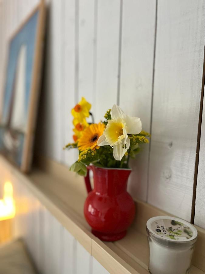 Bed and Breakfast Beemster Tiny House Zuidoostbeemster Exterior foto